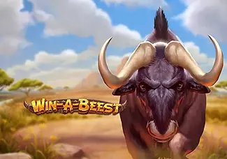 Win A Beest